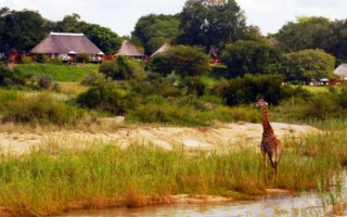 MalaMala Main [320x200]